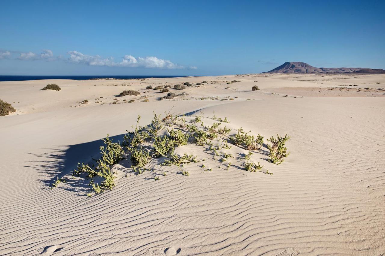Las Fuentes Corralejo Esterno foto